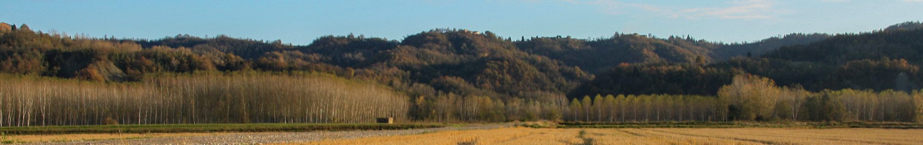 Banner vercelli Banner vercelli